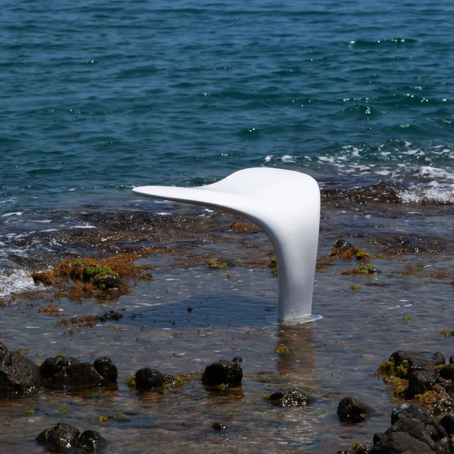 Whale Tail Bench benches